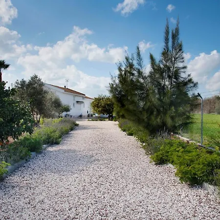 Garden Luxury Villa