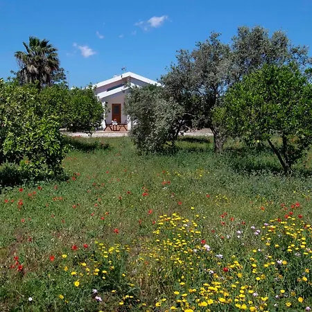 Garden Luxury Villa *